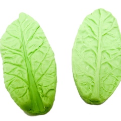 Image of Leaf Veiner #6