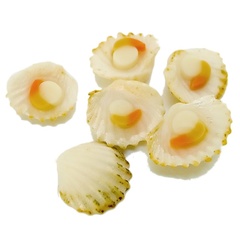 Image of Scallop Veiner