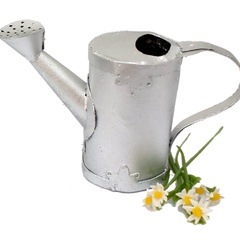 Image of Watering Can