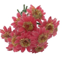 Image of Gerbera Bundle: Deep Pink