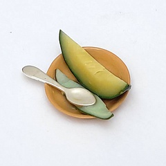 Image of Melon on a plate 4